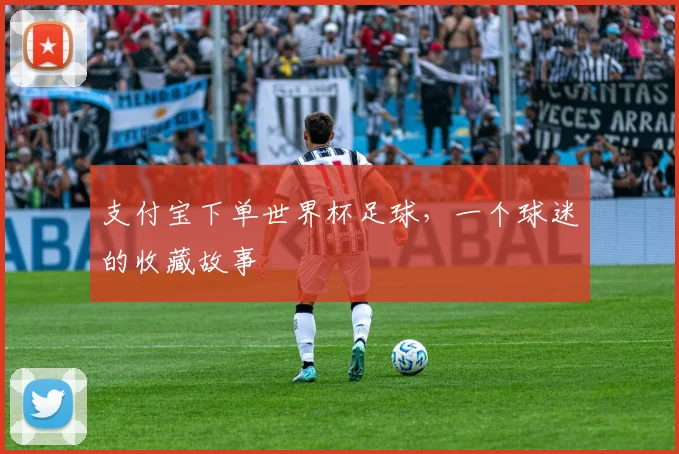 支付宝下单世界杯足球，一个球迷的收藏故事