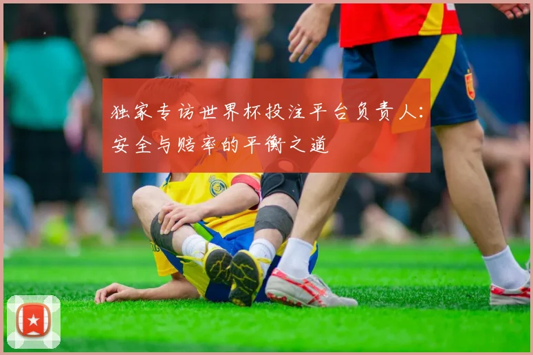 独家专访世界杯投注平台负责人：安全与赔率的平衡之道