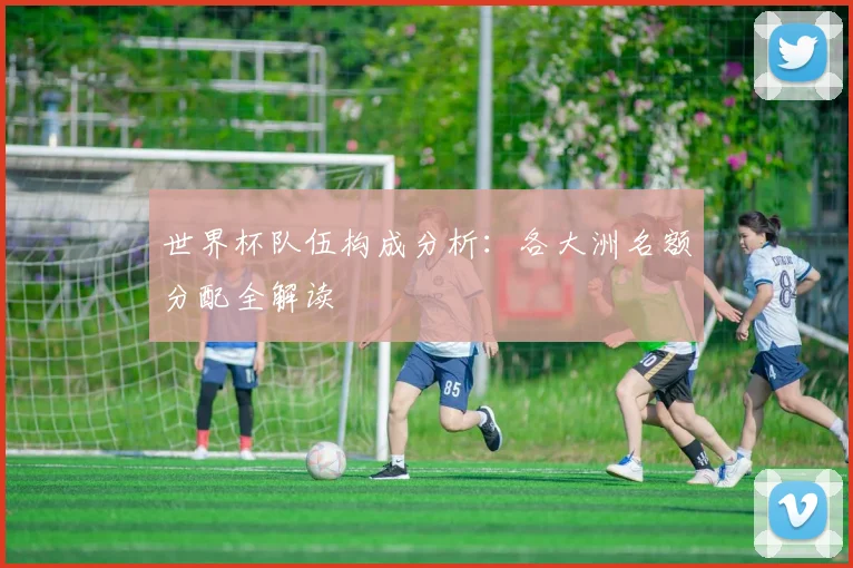 世界杯队伍构成分析：各大洲名额分配全解读