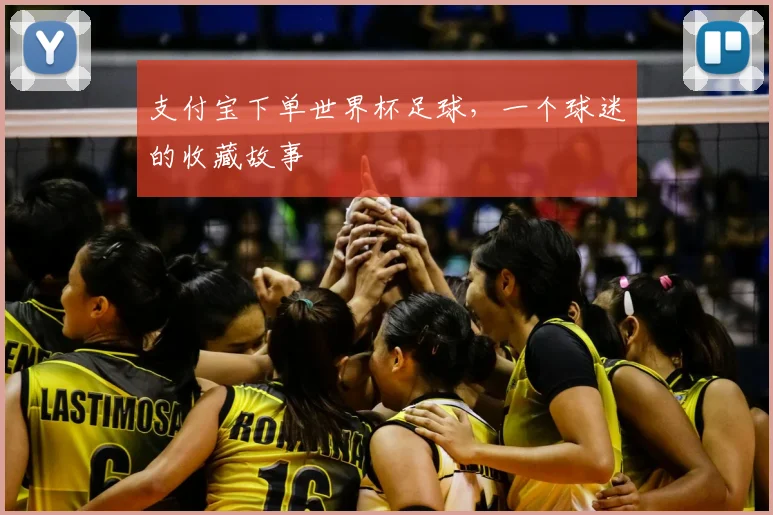 支付宝下单世界杯足球，一个球迷的收藏故事