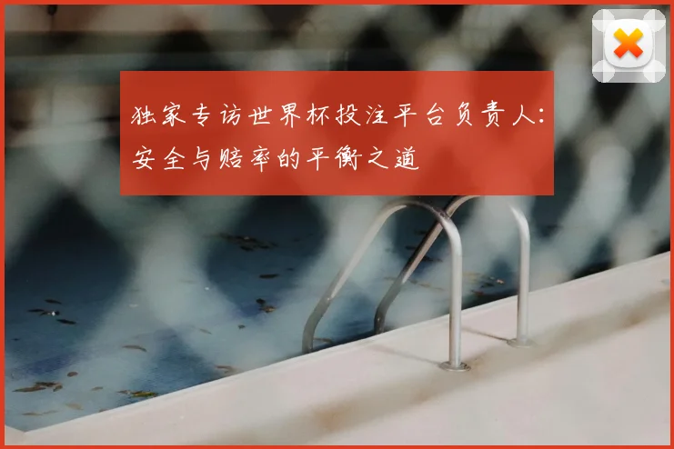 独家专访世界杯投注平台负责人：安全与赔率的平衡之道