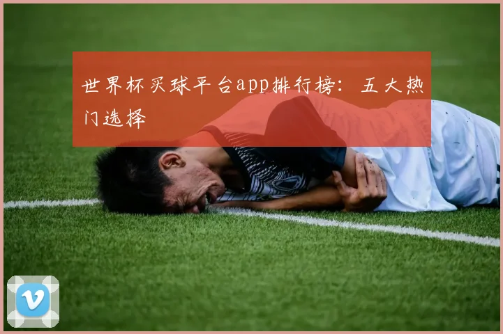 世界杯买球平台app排行榜：五大热门选择