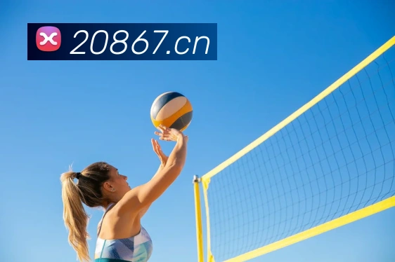 mk体育在线官网首页服务体系